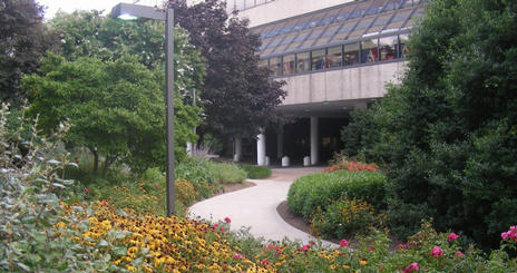 Grounds - Tunnel